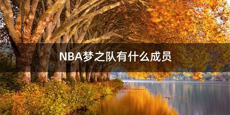 NBA梦之队有什么成员
