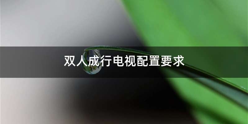 双人成行电视配置要求