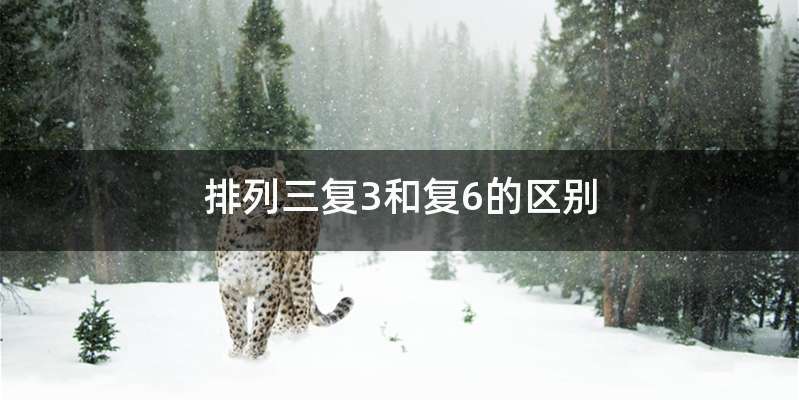 排列三复3和复6的区别