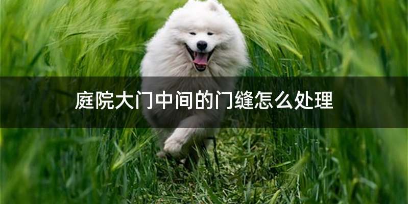 庭院大门中间的门缝怎么处理