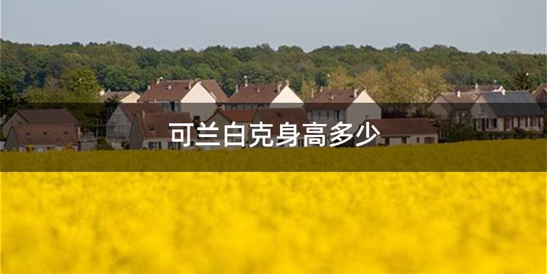可兰白克身高多少