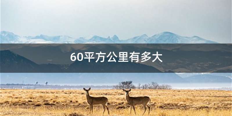 60平方公里有多大