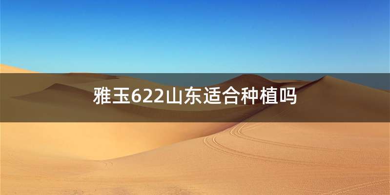 雅玉622山东适合种植吗