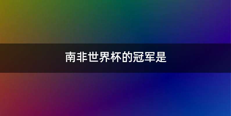 南非世界杯的冠军是