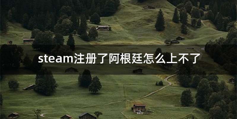 steam注册了阿根廷怎么上不了