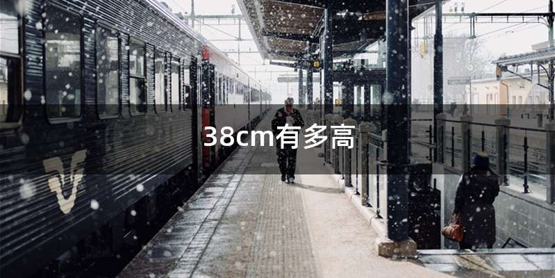 38cm有多高