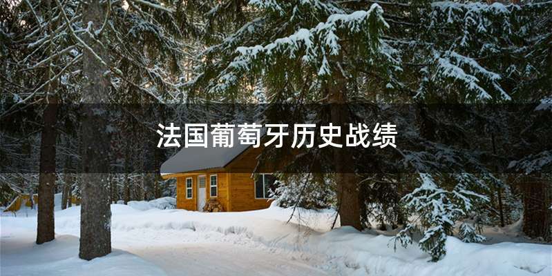 法国葡萄牙历史战绩