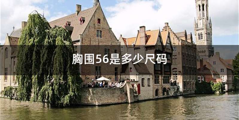 胸围56是多少尺码