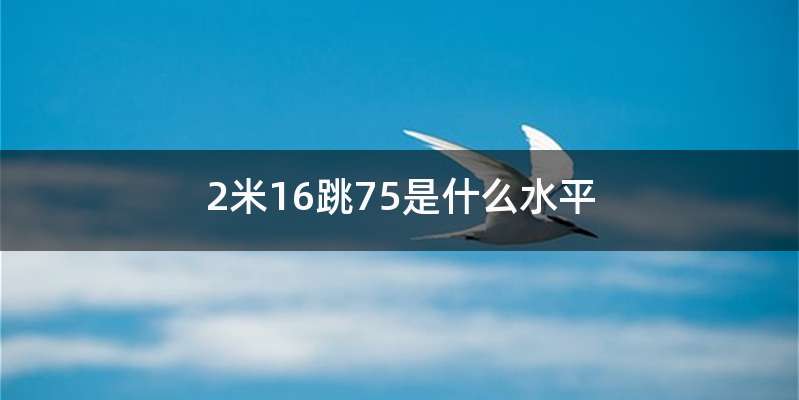 2米16跳75是什么水平