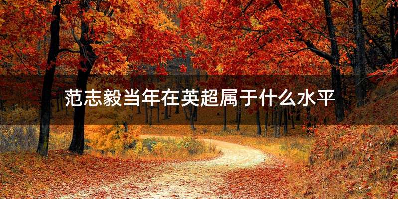 范志毅当年在英超属于什么水平