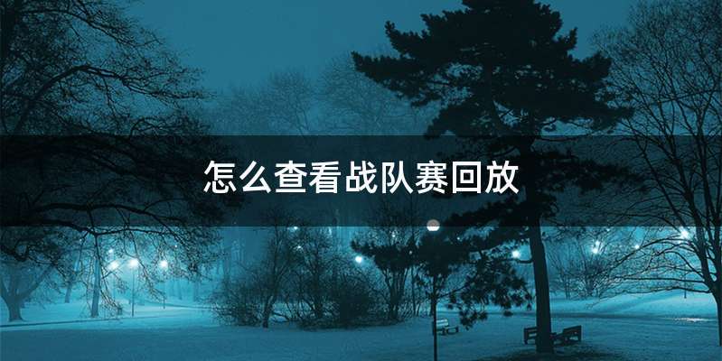 怎么查看战队赛回放