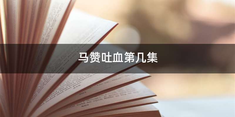 马赞吐血第几集