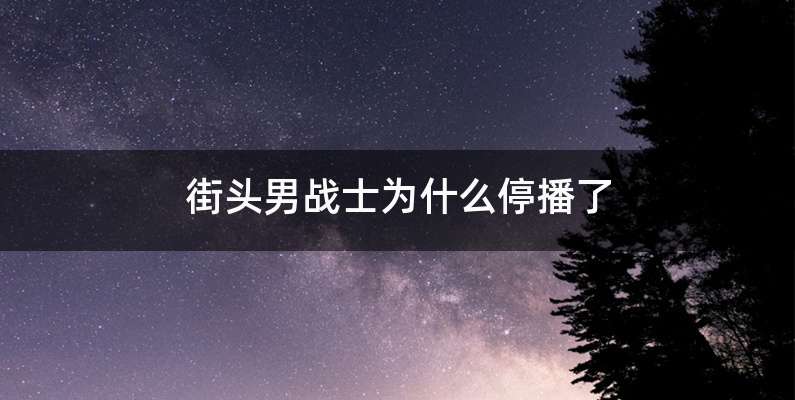 街头男战士为什么停播了