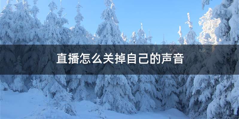 直播怎么关掉自己的声音