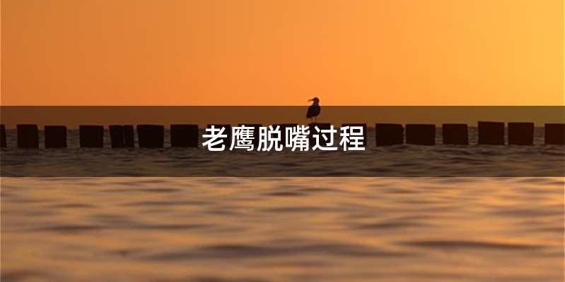 老鹰脱嘴过程