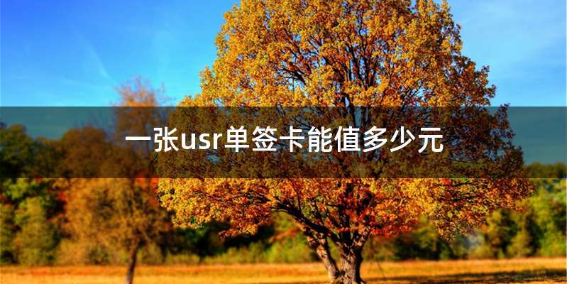 一张usr单签卡能值多少元