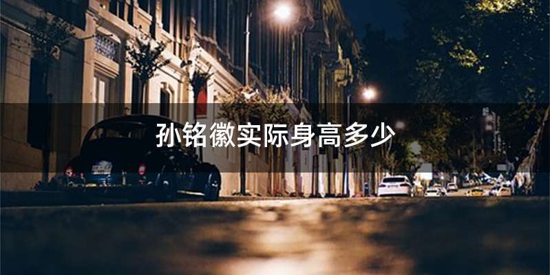 孙铭徽实际身高多少