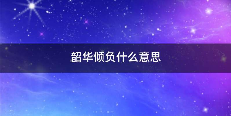 韶华倾负什么意思