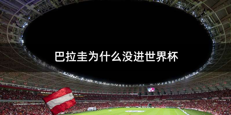 巴拉圭为什么没进世界杯