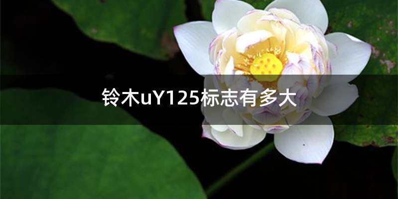 铃木uY125标志有多大