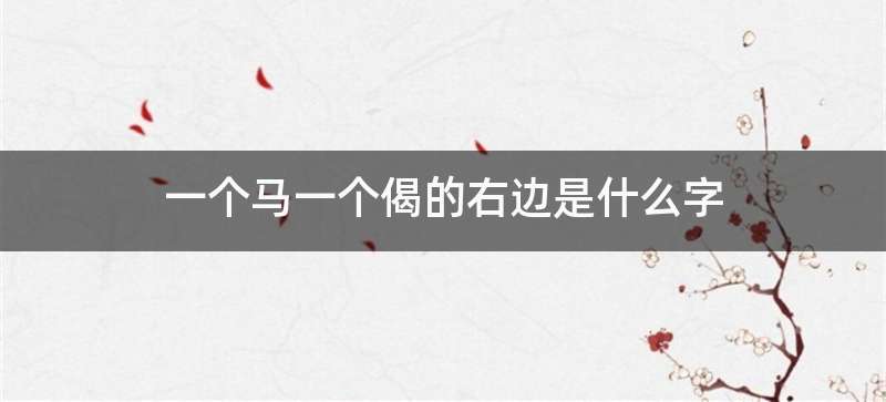 一个马一个偈的右边是什么字