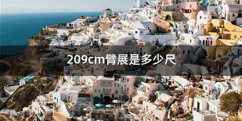 209cm臂展是多少尺