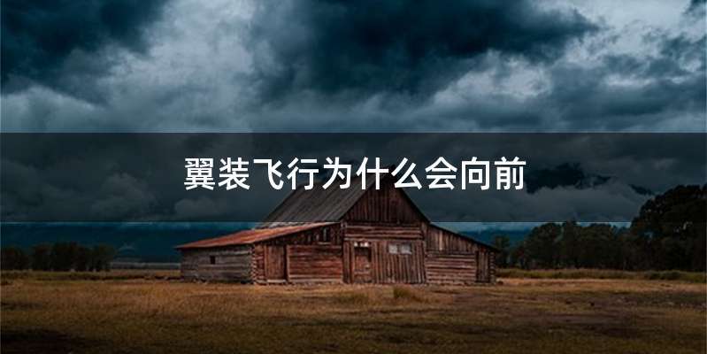 翼装飞行为什么会向前