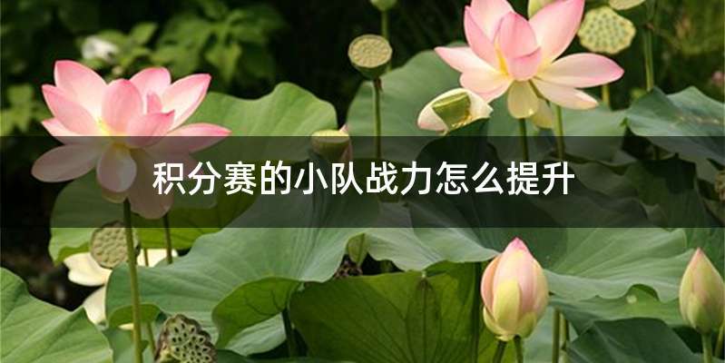 积分赛的小队战力怎么提升
