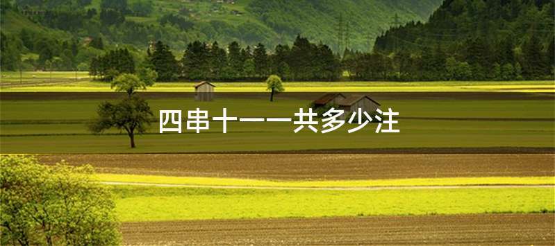 四串十一一共多少注