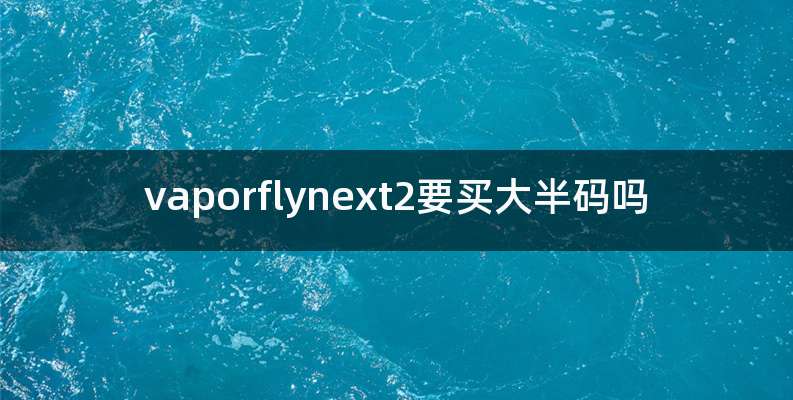 vaporflynext2要买大半码吗
