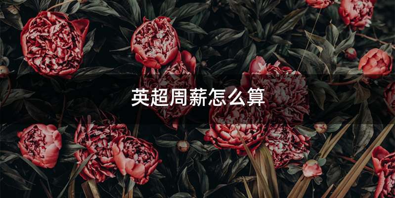 英超周薪怎么算