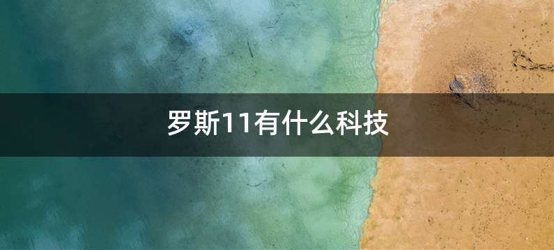 罗斯11有什么科技
