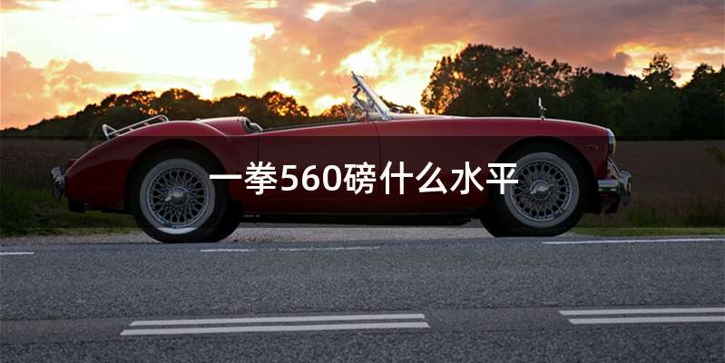 一拳560磅什么水平