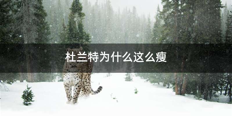 杜兰特为什么这么瘦