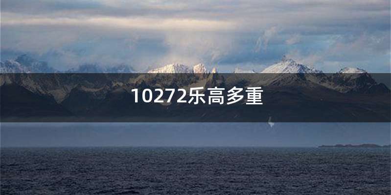 10272乐高多重