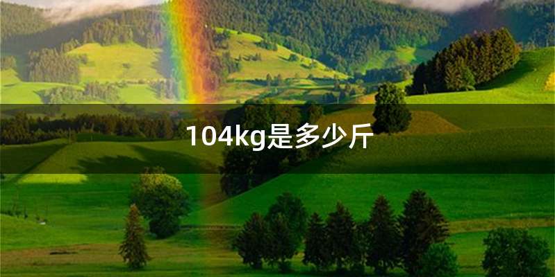 104kg是多少斤