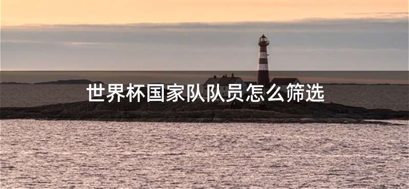 世界杯国家队队员怎么筛选