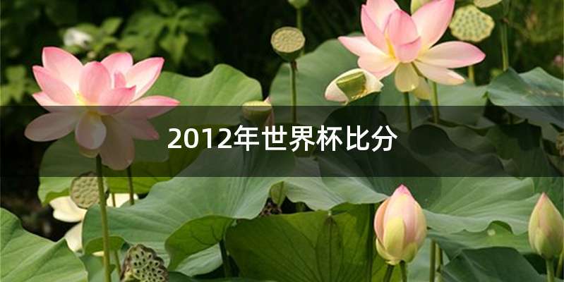 2012年世界杯比分