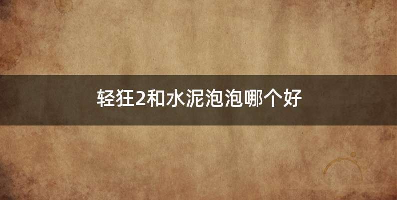轻狂2和水泥泡泡哪个好
