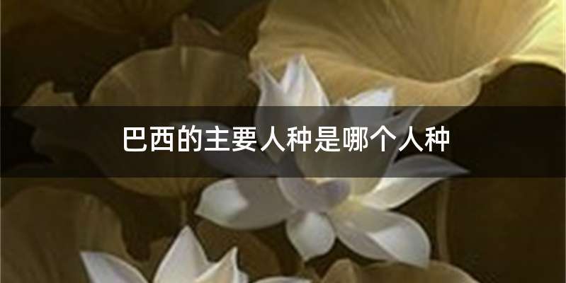 巴西的主要人种是哪个人种