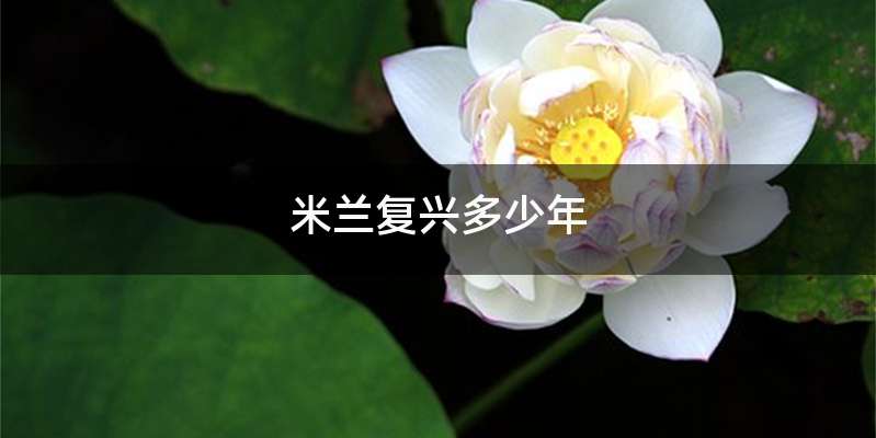 米兰复兴多少年