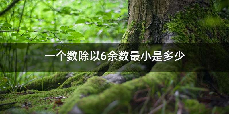 一个数除以6余数最小是多少