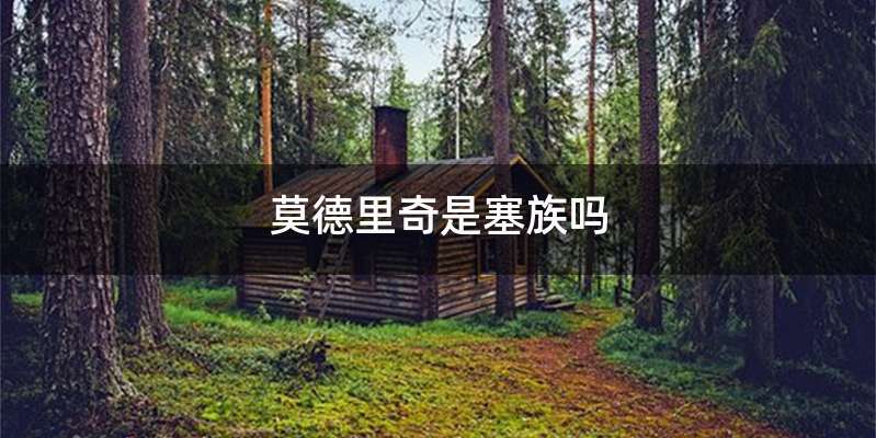 莫德里奇是塞族吗