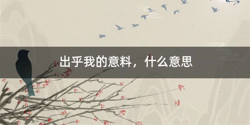 出乎我的意料，什么意思
