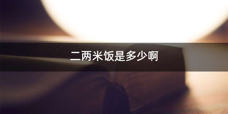 二两米饭是多少啊