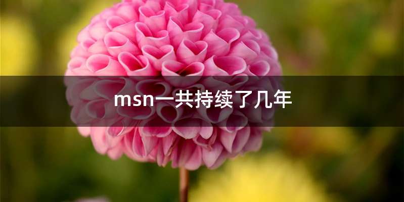 msn一共持续了几年