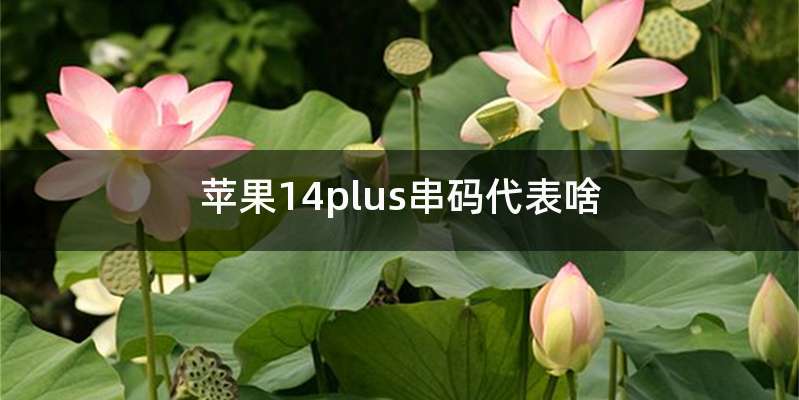 苹果14plus串码代表啥