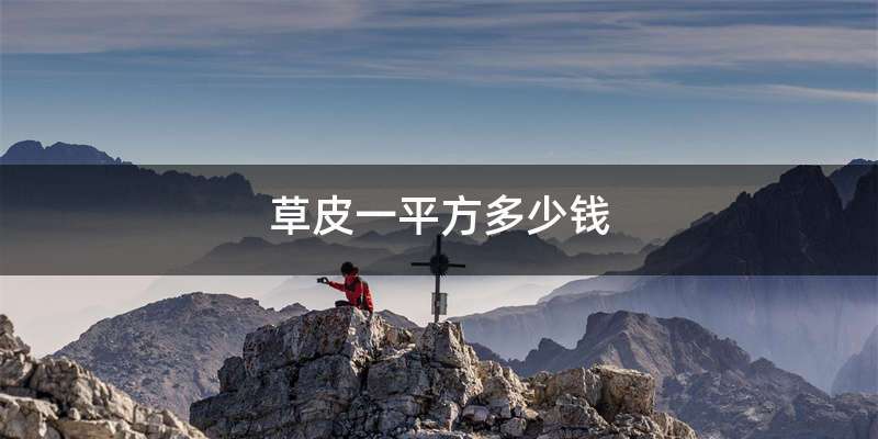 草皮一平方多少钱