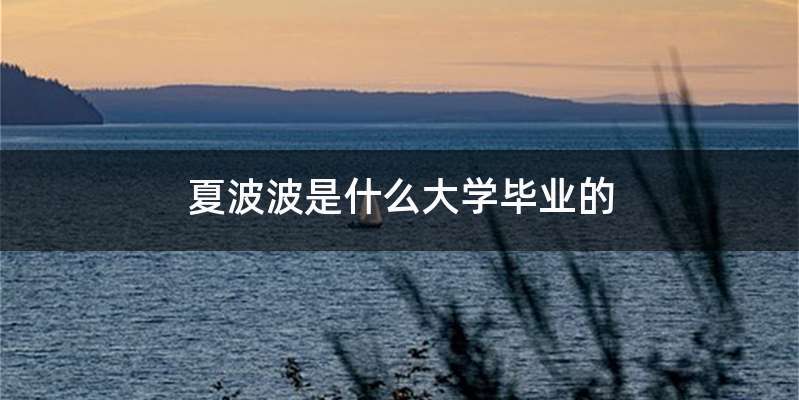 夏波波是什么大学毕业的