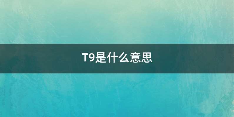 T9是什么意思